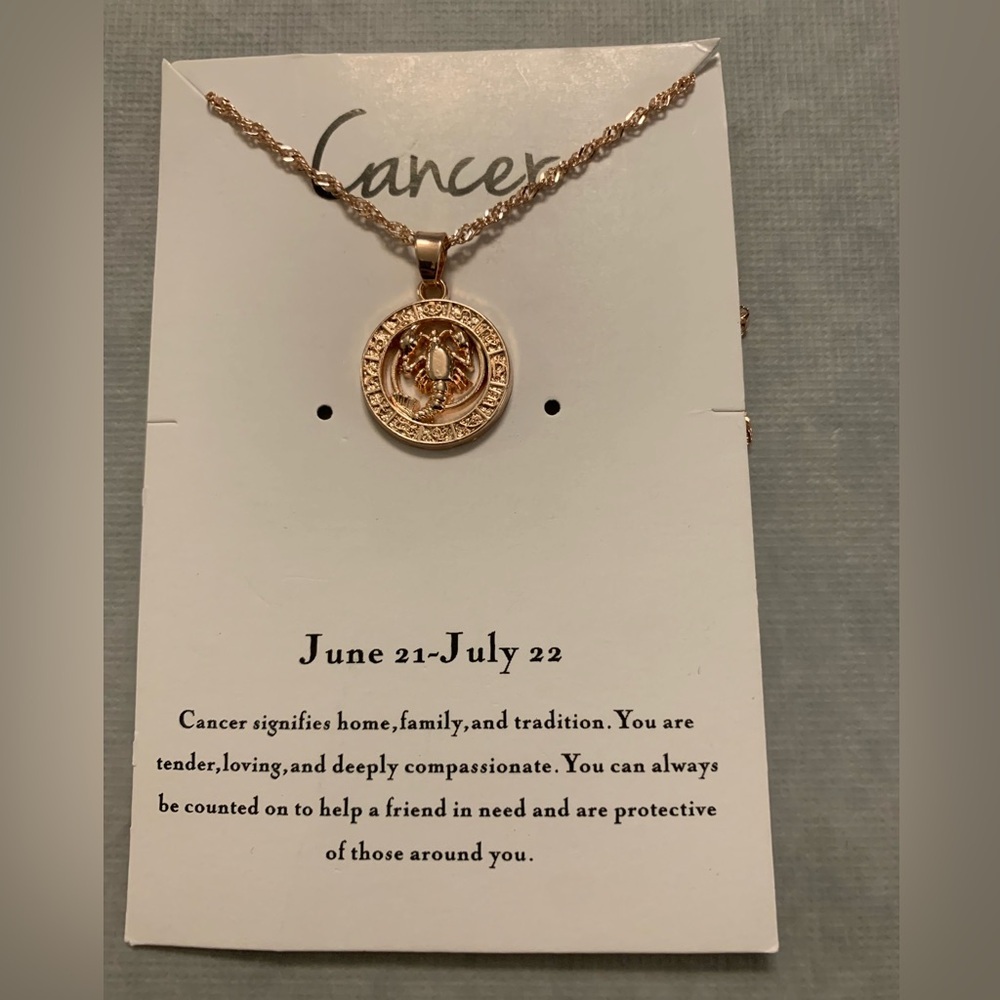 Cancer Pendant on 19” Rose Gold Color Chain